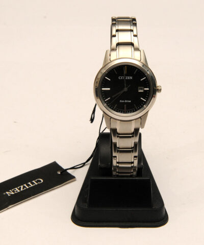 Citizen Plateado 1